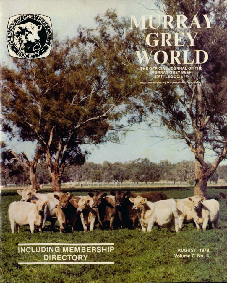 Murray Grey World - Vol 7 No.4 Aug 1978