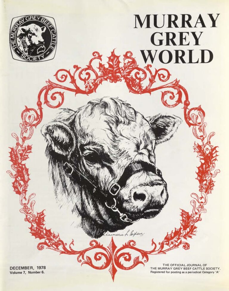 Murray Grey World - Vol 7 No.6 Dec 1978