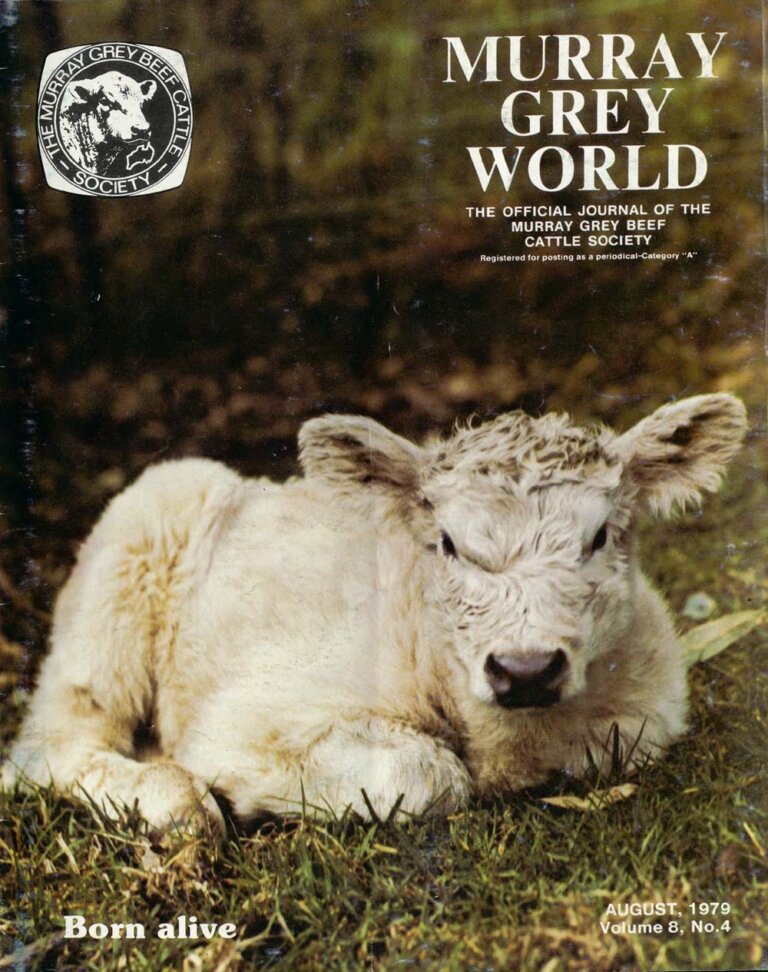 Murray Grey World - Vol 8 No.4 Aug 1979