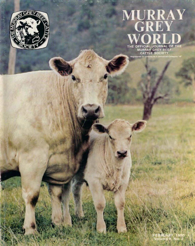 Murray Grey World - Vol 9 No.2 Feb 1980