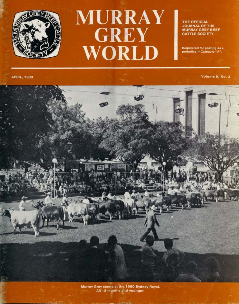 Murray Grey World - Vol 9 No.3 Apr 1980