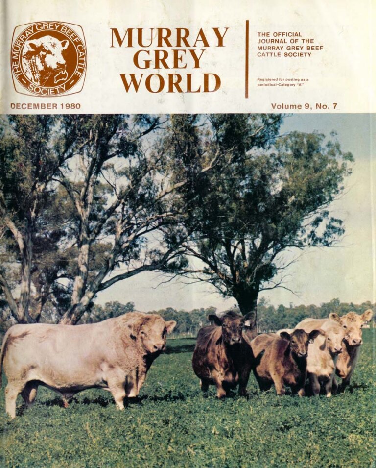 Murray Grey World - Vol 9 No.7 Dec 1980