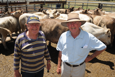 Buddy Alekna from Khancoban, VIC, purchased Murray Grey cows and calves for $1150 during the sale, pictured with Peter Sutherland.